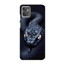 Чохол з картинкою 'Хижаки' для Motorola MOTO G23 – Змія