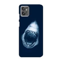 Силіконовий бампер з картинкою звірів для Motorola MOTO G23 (Пащу Акули)