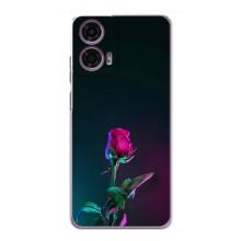 Чехлы с принтом Розочки для Motorola MOTO G24 Power – Ночная роза