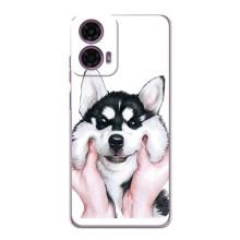 Чехлы с собаками для Motorola MOTO G24 Power (VPrint) (Довольный Хаски)