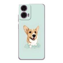Чехлы с собаками для Motorola MOTO G24 Power (VPrint) (Корги)