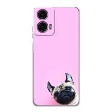 Чехлы с собаками для Motorola MOTO G24 Power (VPrint) (Смешная собака)