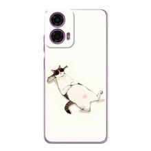 Чехол на тематику: Коты для Motorola MOTO G24 Power – Отдых