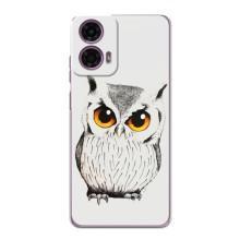 Чехол с птицами на Motorola MOTO G24 Power (VPrint) (Милая Сова)