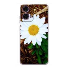 Чохол з ромашками на Motorola MOTO G24 Power – Біла ромашка