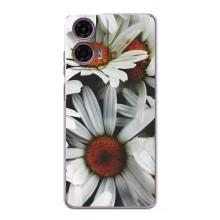 Чохол з ромашками на Motorola MOTO G24 Power – Квіти Ромашки