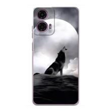 Чехол с Волком на Motorola MOTO G24 Power – Волк и луна