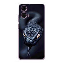 Чехол с картинкой «Хищники» для Motorola MOTO G24 Power – Змея