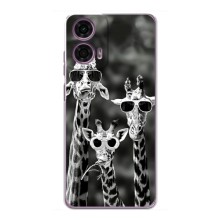 Силиконовый чехол с КАРТИНКАМИ лето для Motorola MOTO G24 Power (AlphaPrint) (Жирафы в очках)