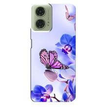 Чехлы с Цветами для Motorola MOTO G24 (VPrint) (Бабочка на цветочке)