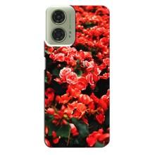 Чехлы с Цветами для Motorola MOTO G24 (VPrint) (Цветы красные)