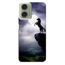 Чохли з зображенням різних тварин на Motorola MOTO G24 (Кінь)