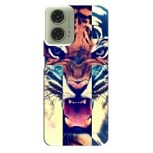 Чохли з зображенням різних тварин на Motorola MOTO G24 (Яскравий Тигр)