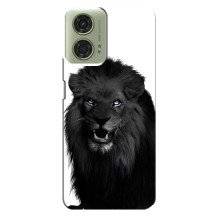 Чехлы с картинками животных Motorola MOTO G24