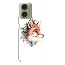 Чехлы с картинкой Лисички для Motorola MOTO G24 (VPrint) (Лисичка в цветочках)