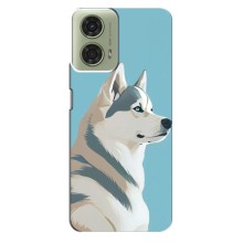 Чехол с Хаски для Motorola MOTO G24 - (AlphaPrint) (Хаски арт)