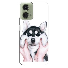 Чехол с Хаски для Motorola MOTO G24 - (AlphaPrint) (Хаски улыбака)