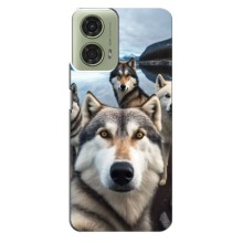 Чехол с Хаски для Motorola MOTO G24 - (AlphaPrint) (Селфи ХАски)