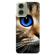 Чехлы с Котиками для Motorola MOTO G24 (VPrint) (Глаз кота)