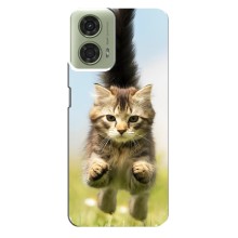 Чехлы с Котиками для Motorola MOTO G24 (VPrint) (Прыжок кота)