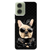 Чехлы с крутыми принтами для Motorola MOTO G24 - (PREMIUMPrint) (Стильная собака)