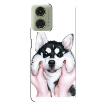 Чехлы с собаками для Motorola MOTO G24 (VPrint) (Довольный Хаски)