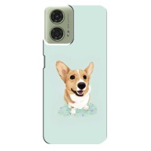Чехлы с собаками для Motorola MOTO G24 (VPrint) (Корги)