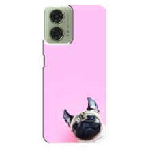 Чехлы с собаками для Motorola MOTO G24 (VPrint) (Смешная собака)