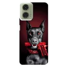Чехол ДОБЕРМАН для Motorola MOTO G24 – Доберман злой