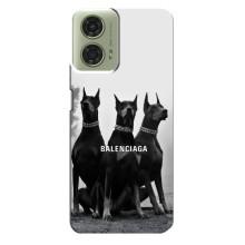 Чехол ДОБЕРМАН для Motorola MOTO G24 – Три добермана
