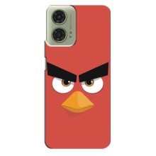 Чехол КИБЕРСПОРТ для Motorola MOTO G24 – Angry Birds