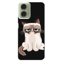 Чохол на тематику: Коти для Motorola MOTO G24 – Погляд кота