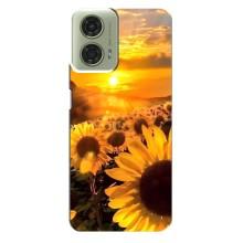 Чохол з Квітами для Motorola MOTO G24 (поле соняшників)