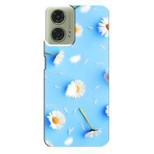 Чохол з Квітами для Motorola MOTO G24 (ромашки на блакитному)
