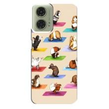Чехол с Прикольным принтом на Motorola MOTO G24 (Ёга свинок)