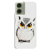 Чехол с птицами на Motorola MOTO G24 (VPrint) (Милая Сова)