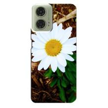 Чехол с ромашками на Motorola MOTO G24 – Белая ромашка