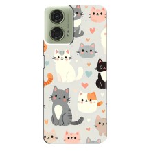 Чехол с рисунком кот на Motorola MOTO G24 (Коллаж котов)