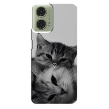 Чехол с рисунком кот на Motorola MOTO G24 (Пара котов)