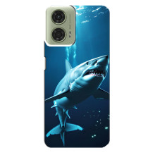 Чехол с картинкой «Хищники» для Motorola MOTO G24 – Акула