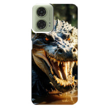 Чехол с картинкой «Хищники» для Motorola MOTO G24 – Крокодил
