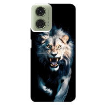 Чехол с картинкой «Хищники» для Motorola MOTO G24 – Лев