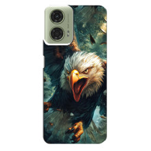 Чехол с картинкой «Хищники» для Motorola MOTO G24 – Орёл