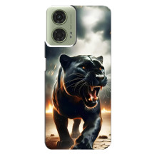 Чехол с картинкой «Хищники» для Motorola MOTO G24 – Пантера