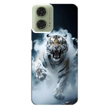 Чехол с картинкой «Хищники» для Motorola MOTO G24 – Тигр