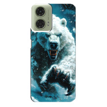 Чехол с картинкой «Хищники» для Motorola MOTO G24 – Медведь