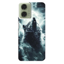 Чехол с картинкой «Хищники» для Motorola MOTO G24