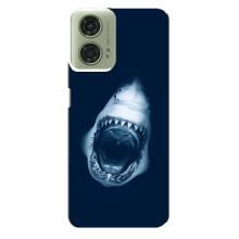 Силіконовий бампер з картинкою звірів для Motorola MOTO G24 (Пащу Акули)