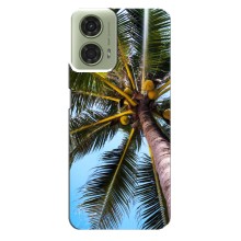 Силіконовий чохол з КАРТИНКАМИ літо для Motorola MOTO G24 (AlphaPrint) (Пальма)