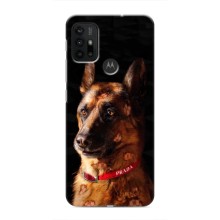 Чехлы с картинками животных Motorola MOTO G30 (Овчарка)